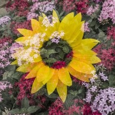Floral Abundance