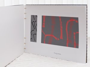 Out of The Ordinary (photo-book) by John Hoath