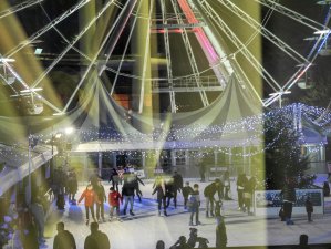 'Winterville' series by Tessa Mills