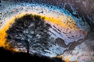 Visions in Chaos (series) by Barrie Glover