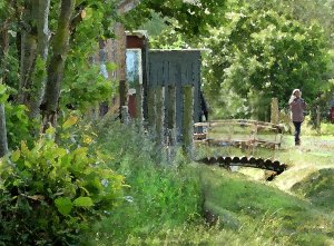 The Good Soil Journey - photo project