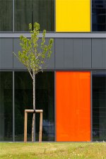 Geometry and Line (series) by Nigel reader